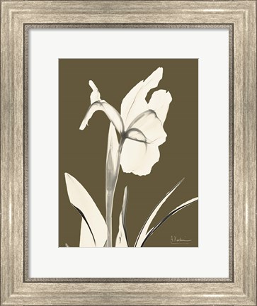 Framed Iris Fall Print