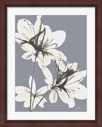 Framed Splendid Autumn Beauty 1 Print