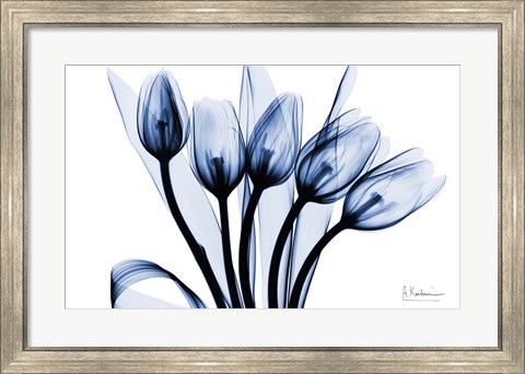 Framed Marvelous Indigo Tulips 2 Print