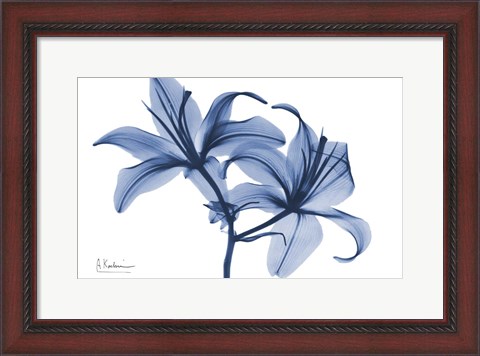 Framed Indigo Infused Lily 2 Print