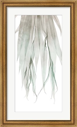 Framed Seashore Growth 2 Print