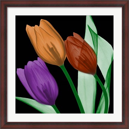 Framed Jeweled Tulips 4 Print