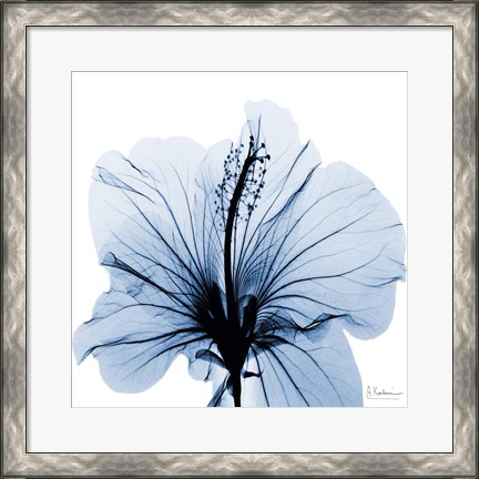 Framed Indigo Hibiscus Print