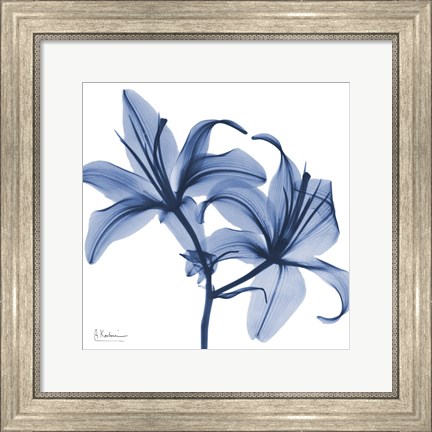 Framed Indigo Infused Lily Print