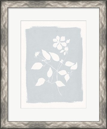 Framed Pressed Daisies Print