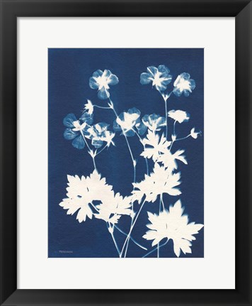 Framed Alpine Flower V Print