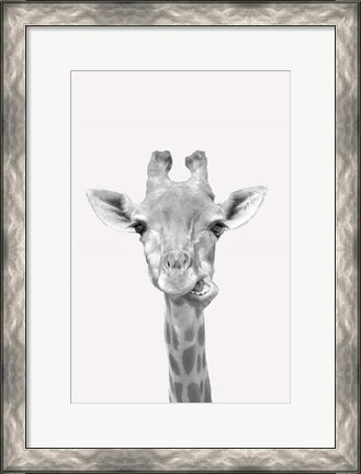 Framed Quirky Giraffes 2 Print