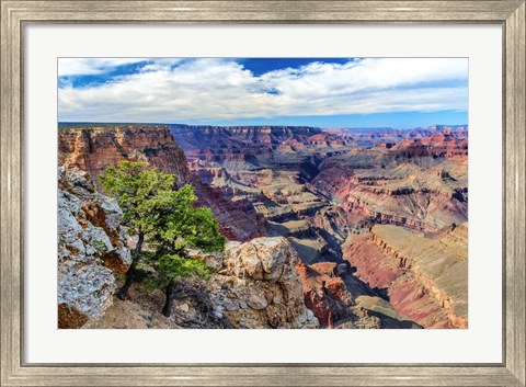 Framed Standing on Navajo Point-Grand Canyon National Park Print