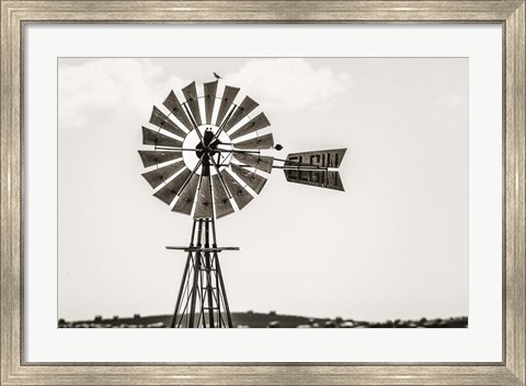 Framed Bird on a Windmill Print