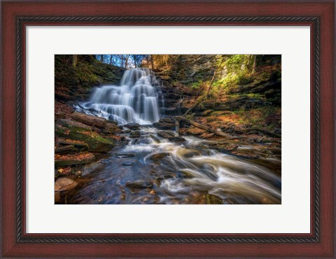 Framed Ricketts Glen Erie Falls Print