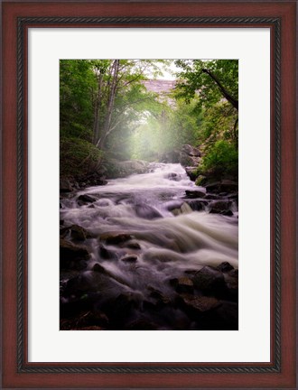 Framed Spring Flow at Duck Brook Print