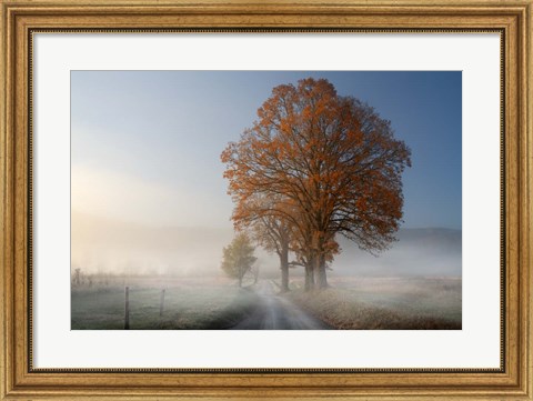 Framed Autumn on Hyatt Lane Print