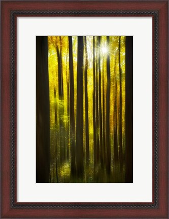 Framed Autumn Forest Dream Print