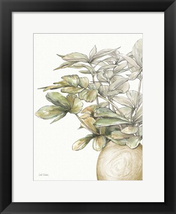 Framed Potted Leaves II Print