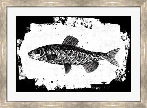 Framed Fish II Print