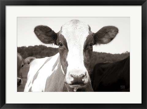 Framed At the Barn Print