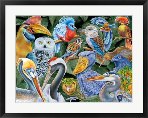 Framed Birds of the World Print