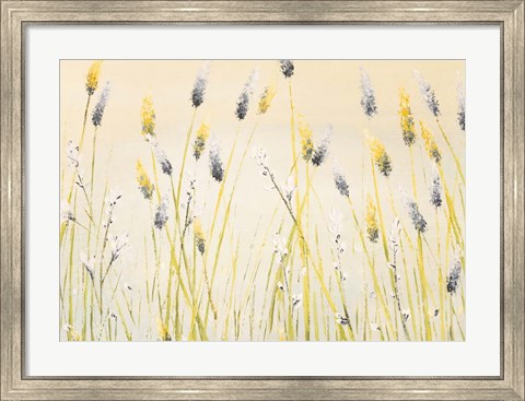 Framed Bugbane Field Print