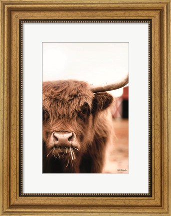 Framed Hungry Highland II Print