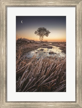 Framed Frost Print