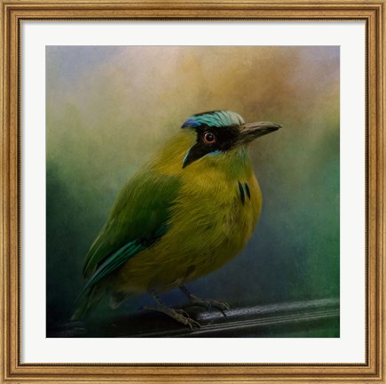 Framed Colorful Charmer Print