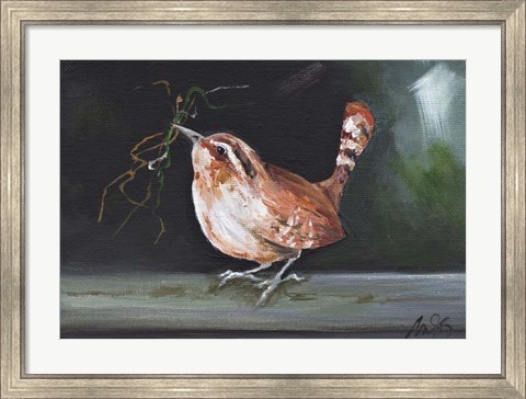 Framed Wren Print