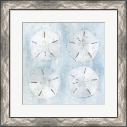 Framed Sand Dollars II Print