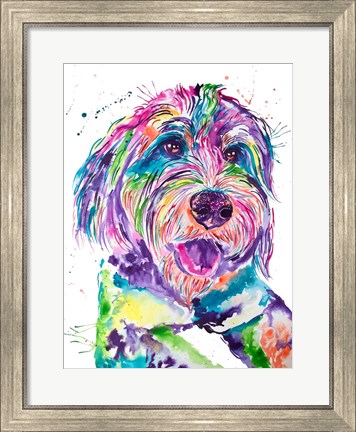 Framed Colorful Bernedoodle Print