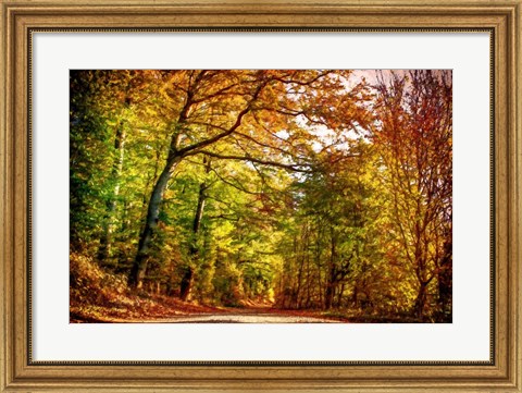 Framed Autumn Pathway Print