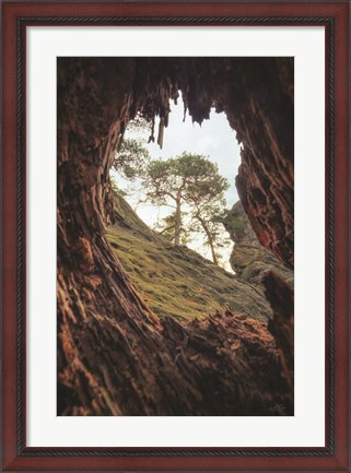 Framed View Through a Tree Print