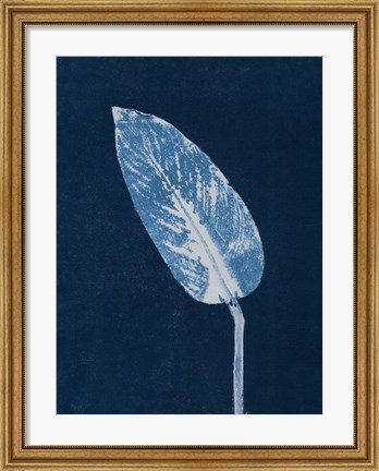 Framed Calathea Blue Print