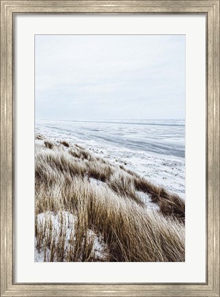 Framed Coastal II Print