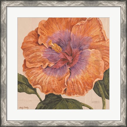 Framed Island Hibiscus II Print