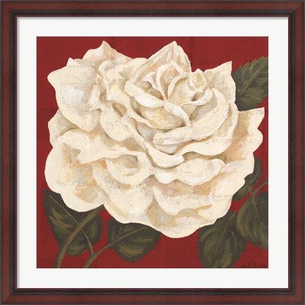 Framed Rosa Blanca Grande I Print