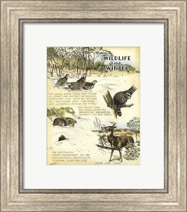 Framed Wildlife Print