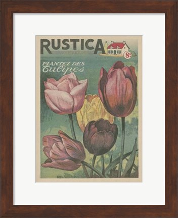 Framed Plantez Des Tulips Print