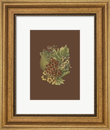 Framed Fruit on Burgundy I Print