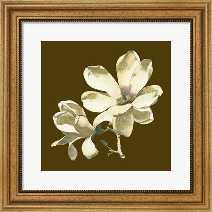 Framed Magnolia on Taupe I Print