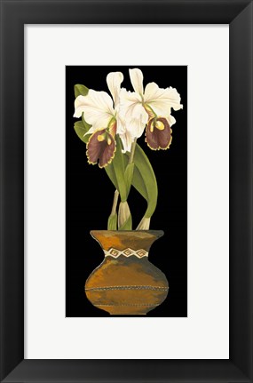 Framed Orchids in Pot II Print