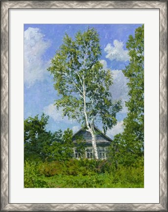 Framed Birch Tree Near Dwelling Print