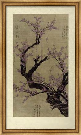 Framed Plum Blossom Tree Print