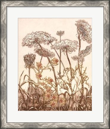 Framed Field of Lace II Print