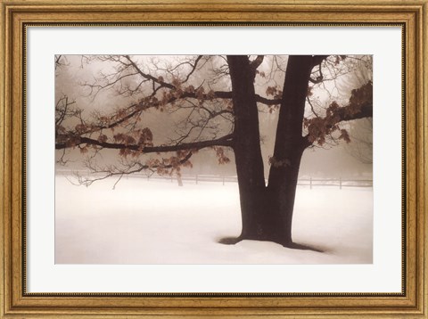 Framed Tranquility Print