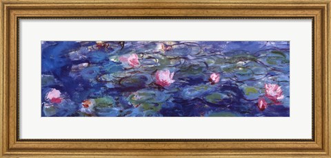 Framed Water Lilies (blue and purple) Print