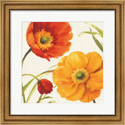 Framed Poppies Melody II Print