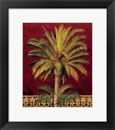 Framed Canary Palm Print