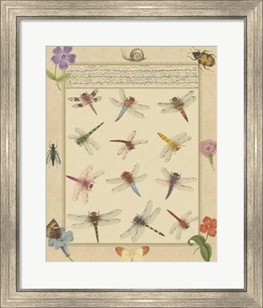 Framed Dragonfly Manuscript II Print