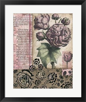 Framed Cottage Rose II Print