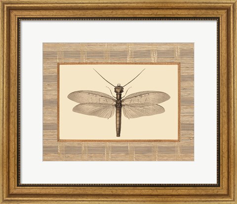 Framed Delicate Dancer II Print