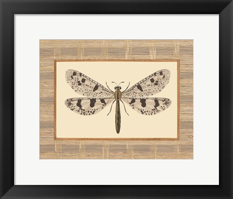 Framed Delicate Dancer III Print